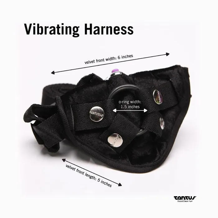 Tantus Beginner Harness Pegging Kit Female Sex Toys