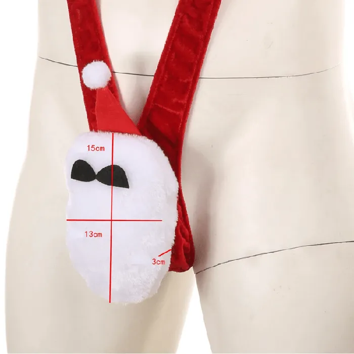 Mens Sexy Santa Briefs Male Erotic Underwear Cosplay Costume for Men EVEs SECRETS Male Sex Toys