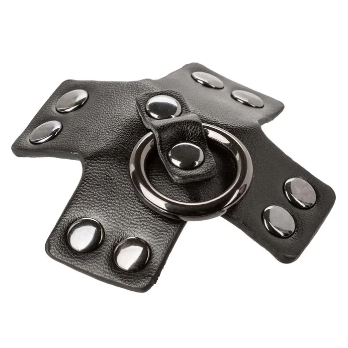 Male Sex Toys CalExotics Euphoria ORing Pasties