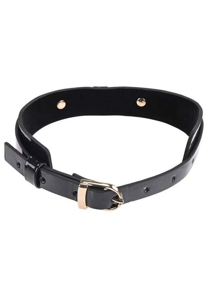 Couples Sex and Mischief Sex and Mischief Orbit Day Collar